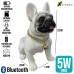 Caixa de Som Bluetooth 5W Dog XC-CH-15M X-Cell - Branco