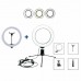 Kit 2 Iluminadores Ring Light 6 e 10 Pol 30Cm OR-PL610 Oberon - Preto